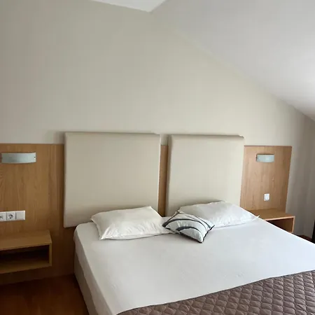 Hotel Family Milev Sweti Wlas